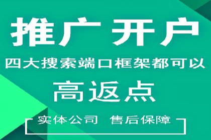 竞价账户优化：成功企业的广告策略揭秘